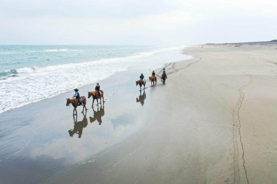 宮崎 新富町 宮崎の海を乗馬で満喫 ビーチライディング 宮崎県新富町おすすめ観光情報サイト